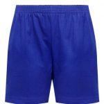 COTTON GYM SHORTS - ROYAL, NURSERY UNIFORM, PE KIT, PE SPORTS SHORTS & BOTTOMS
