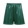 BOTTLE GREEN SHADOW STRIPE SHORTS, PE KIT, PE KIT
