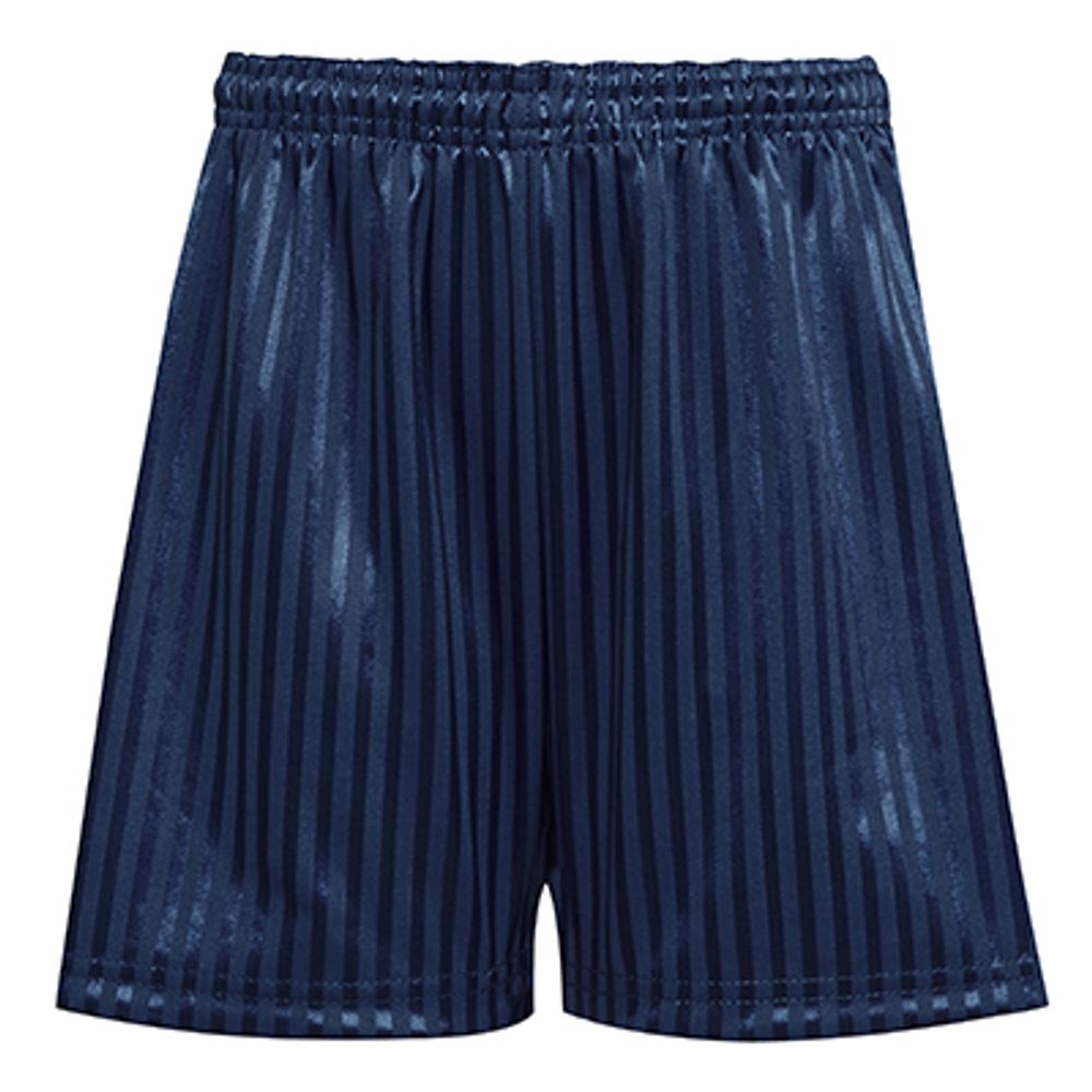 NAVY SHADOW STRIPE SHORTS, PE KIT, SPORTS TOPS & BOTTOMS